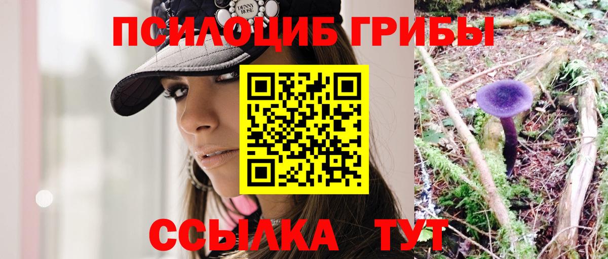Галлюциногенные грибы Psilocybe Кинель
