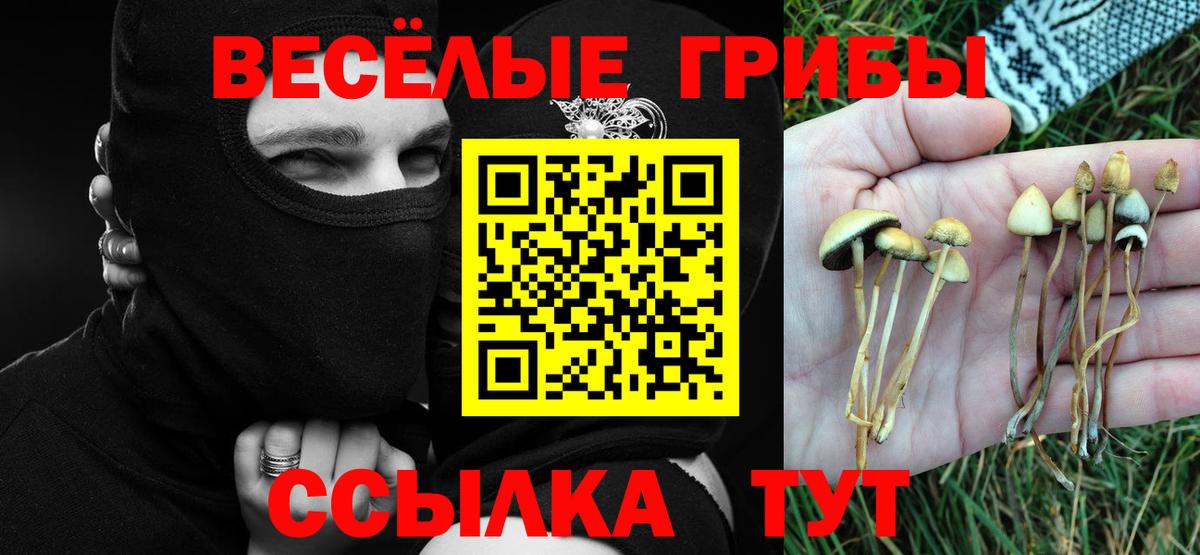 Галлюциногенные грибы Psilocybine cubensis  Вход с VPN  Кинель 